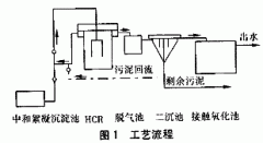 農村小型(xíng)汙水處理設備|HCR反應器處理味精廠(chǎng)廢水(shuǐ)